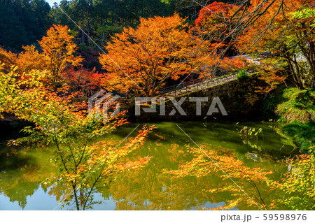 丹波紅葉三山 円通寺の写真素材