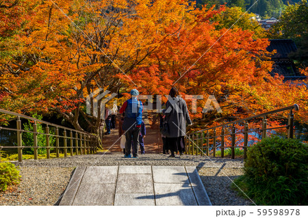 丹波紅葉三山　円通寺 59598978