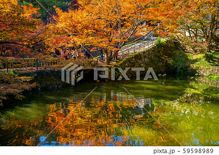 丹波紅葉三山 円通寺 丹波紅葉三山 円通寺 59598989