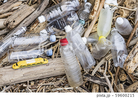 【プラスチック　環境問題】 59600215