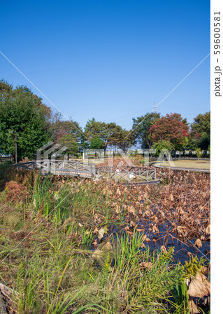 中宿歴史公園 深谷市 中宿歴史公園 深谷市 59600581