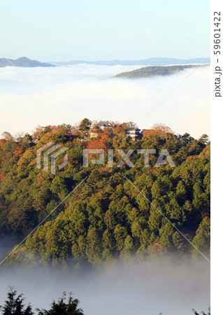 天空の城6560 59601422