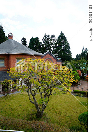 北海道　函館　トラピスチヌ修道院 59601485