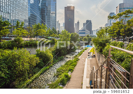 Cheonggyecheon stream in Seoul, Korea. Cheonggyecheon stream is the result of a massive urban 59601652