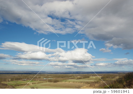 十勝千年の森 十勝千年の森 59601941