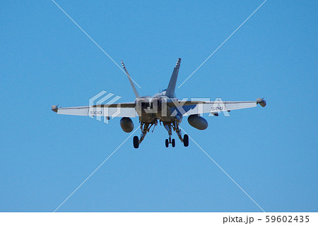 横田基地にアプローチするEA-18Gグラウラー 59602435