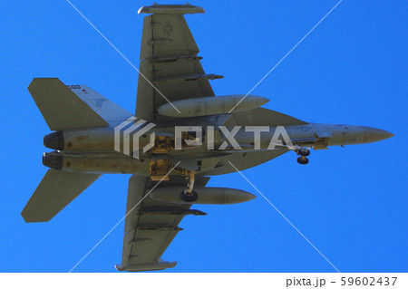 横田基地にアプローチするEA-18Gグラウラー 59602437