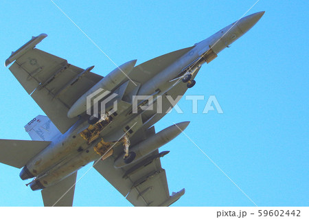 横田基地にアプローチするEA-18Gグラウラー 59602442