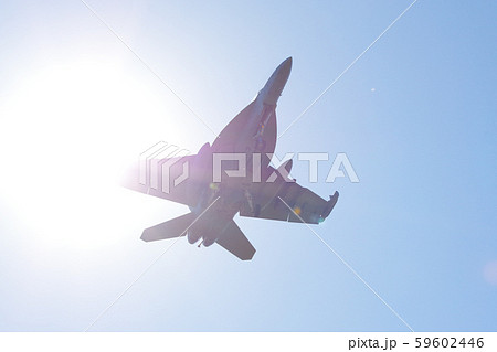 横田基地にアプローチするEA-18Gグラウラー 横田基地にアプローチするEA-18Gグラウラー 59602446