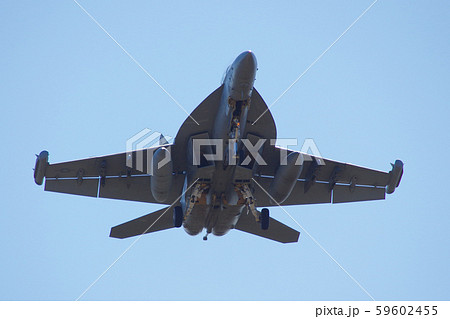 横田基地にアプローチするEA-18Gグラウラー 59602455