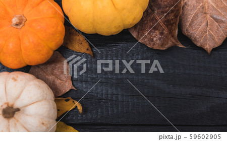 Fall Thanksgiving and Halloween pumpkins and dry 59602905