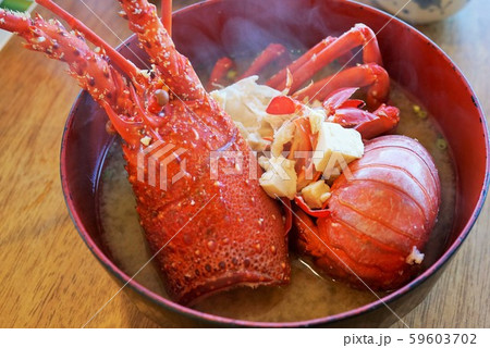 伊勢海老　伊勢海老祭　いせえび　イセエビ　イセエビ料理　阿久根市　長島町　出水市　鹿児島県　自然環境 59603702