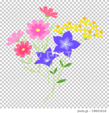 秋の花素材のイラスト素材