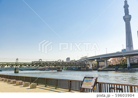 【浅草　スカイツリー】 59603904