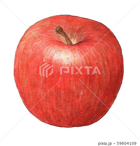果物　りんご　手描き　水彩 59604109
