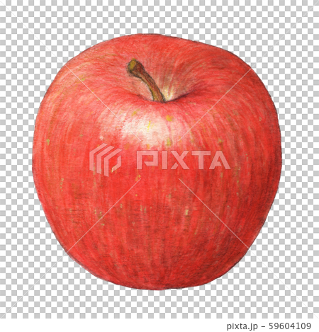 果物　りんご　手描き　水彩 59604109