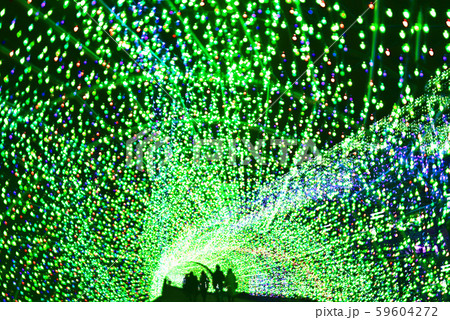 イルミネーション イルミネーション 59604272