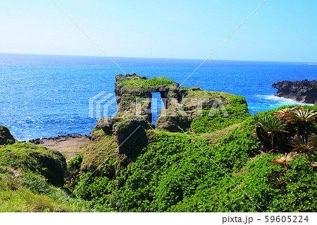 犬の門蓋(徳之島) Tokunoshima,JPN 犬の門蓋(徳之島) Tokunoshima,JPN 59605224