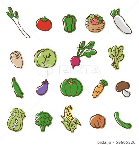 手書き風 可愛い野菜のイラスト ベクターのイラスト素材 59605526 Pixta