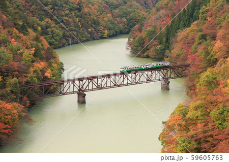 紅葉の中を走る只見線 紅葉の中を走る只見線 59605763