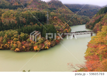 紅葉の中を走る只見線 59605769
