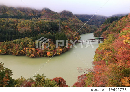 紅葉の中を走る只見線 紅葉の中を走る只見線 59605773