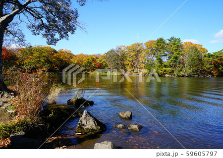 北海道 函館 大沼湖畔 北海道 函館 大沼湖畔 59605797