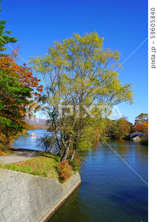 北海道　函館　大沼湖畔 59605840