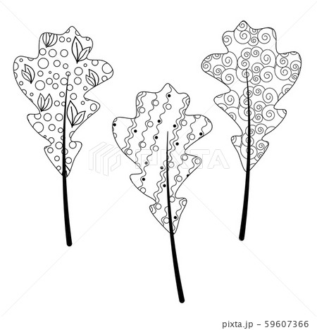 Zentangle autumn leaf for adult antistress 59607366