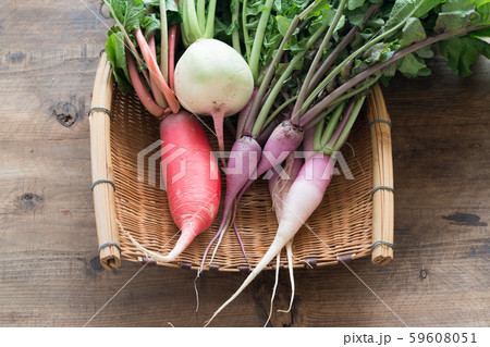 色々な大根 59608051