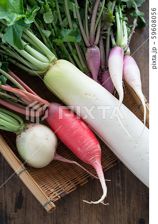 色々な大根 59608056