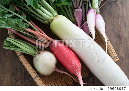 色々な大根 59608057