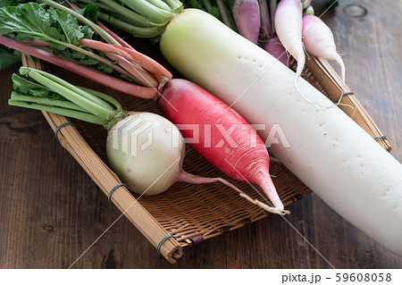 色々な大根 59608058