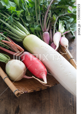 色々な大根 59608059