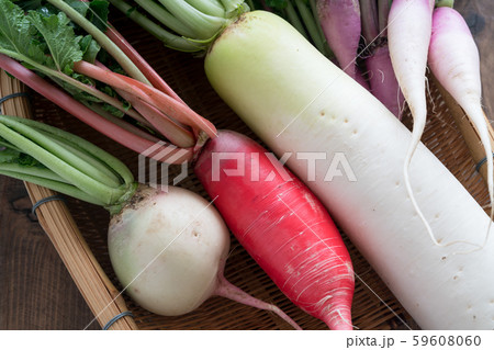 色々な大根 59608060