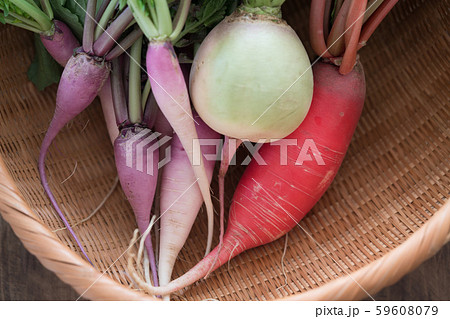 色々な大根 59608079