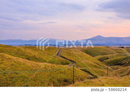 大観峰の朝風景・秋景色・草紅葉　【熊本県阿蘇市】 59608214