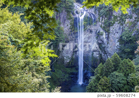 富貴野の滝 59608274