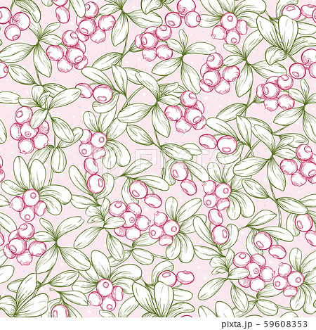Cranberry. Seamless pattern Cranberry. Seamless pattern 59608353