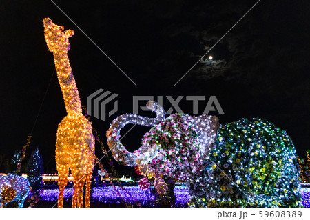 動物園らしさ 動物園らしさ 59608389