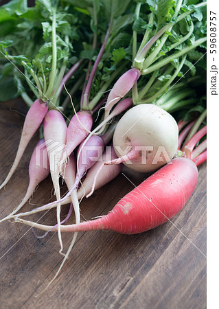 色々な大根 59608757