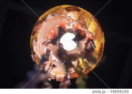 ランタン 提燈 燈籠 59609160