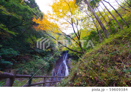 常光寺の滝 2019-11-10紅葉色づき始め 宮崎県高千穂町岩戸 常光寺の滝 2019-11-10紅葉色づき始め 宮崎県高千穂町岩戸 59609384