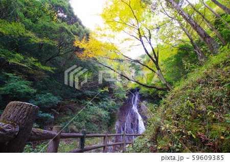 常光寺の滝 2019-11-10紅葉色づき始め 宮崎県高千穂町岩戸 常光寺の滝 2019-11-10紅葉色づき始め 宮崎県高千穂町岩戸 59609385