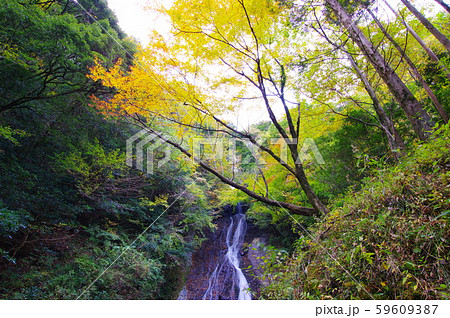 常光寺の滝 2019-11-10紅葉色づき始め 宮崎県高千穂町岩戸 常光寺の滝 2019-11-10紅葉色づき始め 宮崎県高千穂町岩戸 59609387