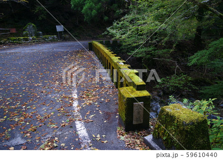踊子歩道(寒天橋) 踊子歩道(寒天橋) 59610440