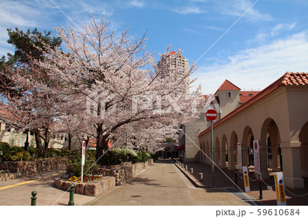 宝塚歌劇と花のみち 59610684