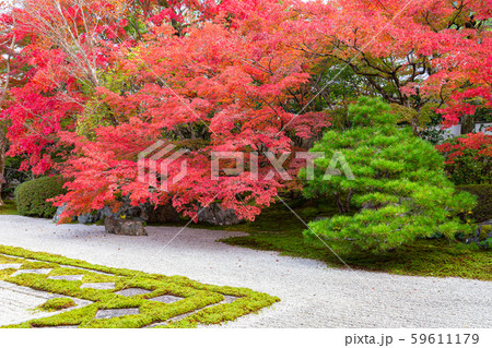 秋の天授庵 59611179