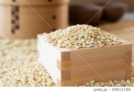 もち麦　麦 59612196