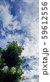 空 59612556